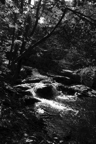 Summer Stream B&W